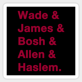 2012-13 Miami Heat Greats Magnet